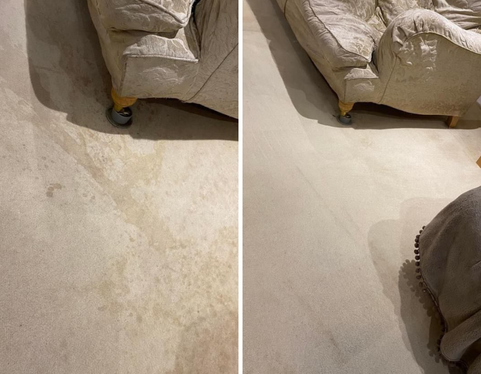 Carpet Cleaning Carpet Cleaning