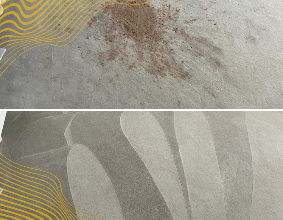 Stain Removal Stain Removal