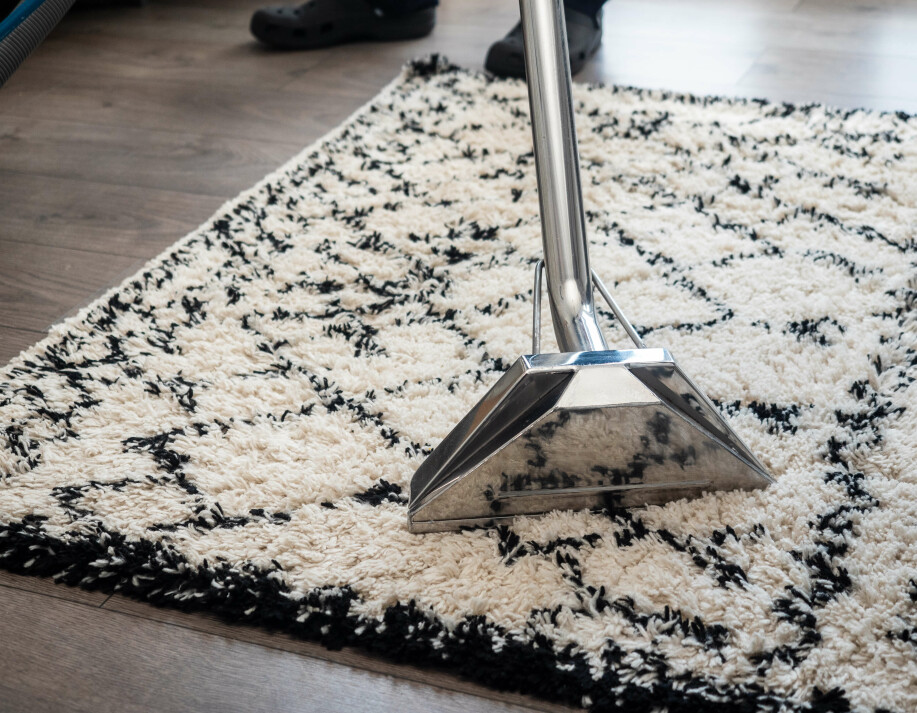 Finesse Pro Services Area Rug Cleaning Service Hampstead Nc