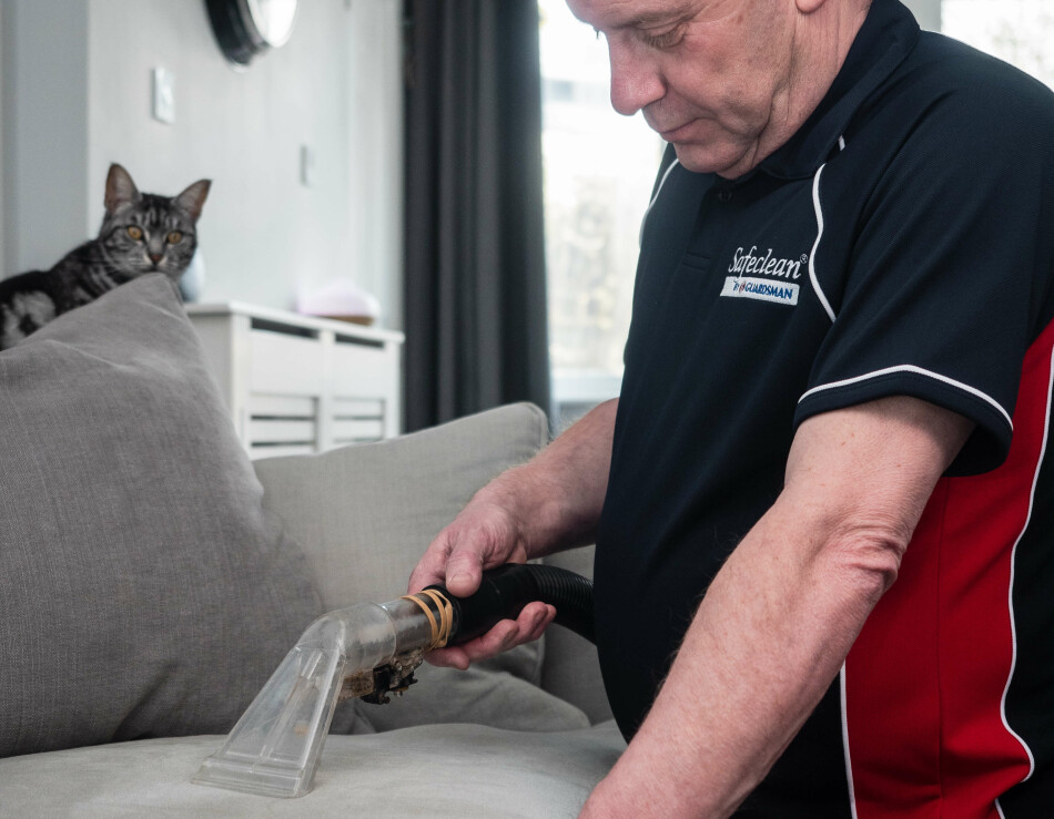 Upholstery Cleaning Upholstery Cleaning