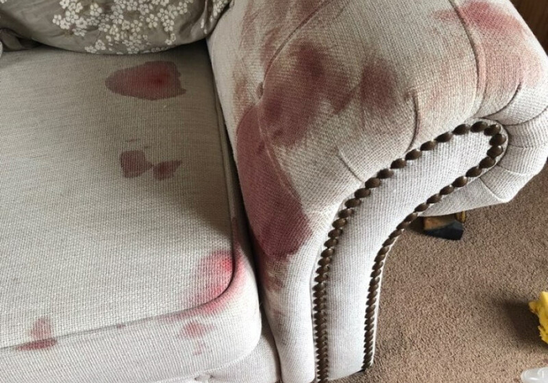 Blood Stain on Sofa Blood Stain on Sofa