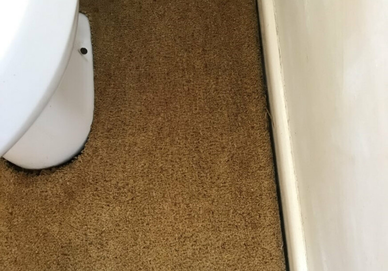 If it's brown, flush it down If it's brown, flush it down