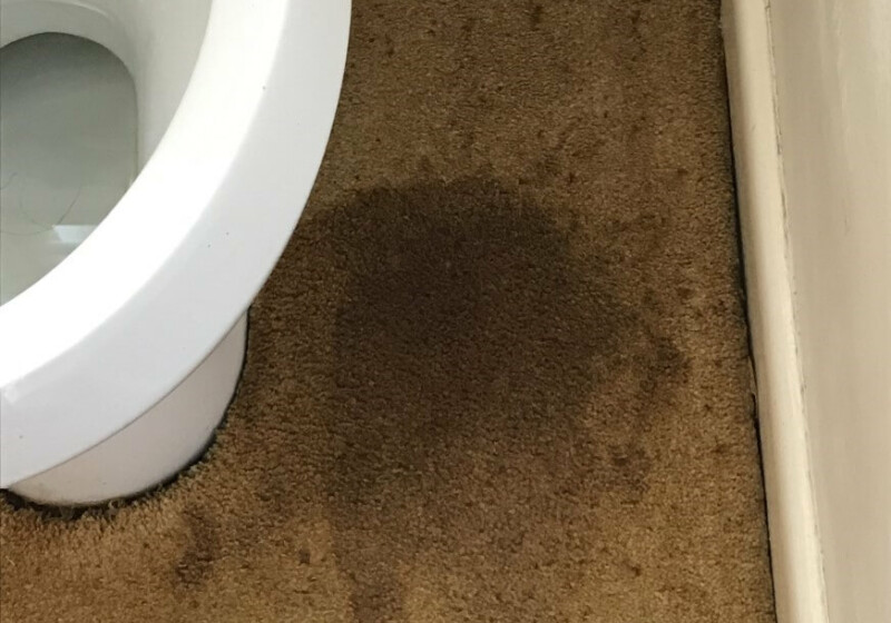 If it's brown, flush it down If it's brown, flush it down