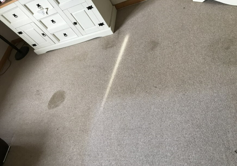 Now that's magic! Now that's magic!