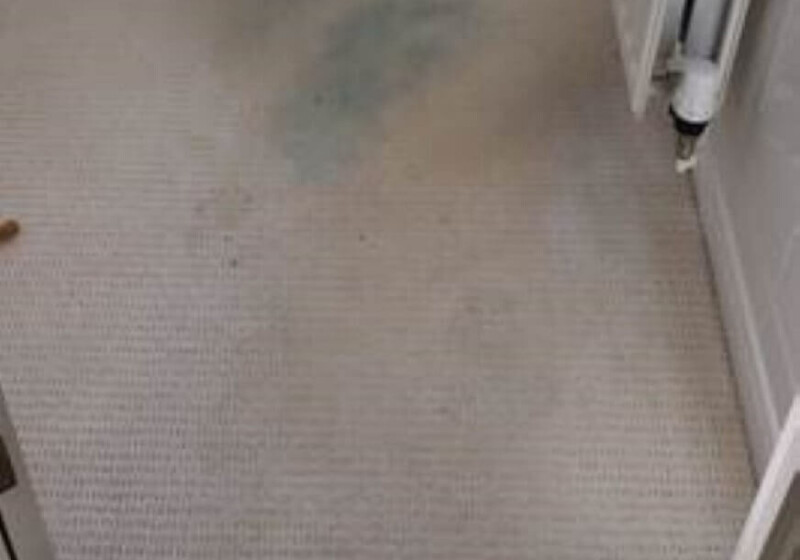 Bathroom carpet following a leak Bathroom carpet following a leak