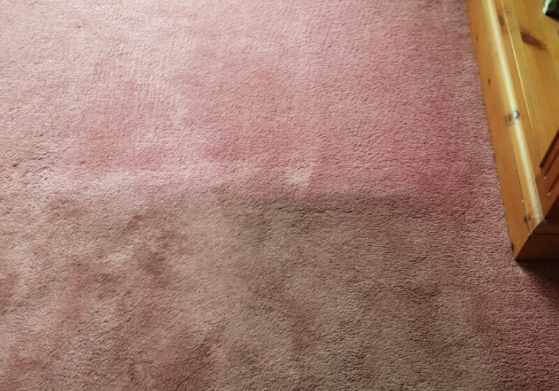 CAN WE CLEAN A CARPET? CAN WE CLEAN A CARPET?
