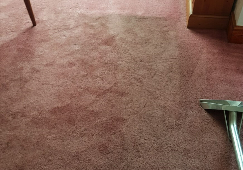 CAN WE CLEAN A CARPET? CAN WE CLEAN A CARPET?