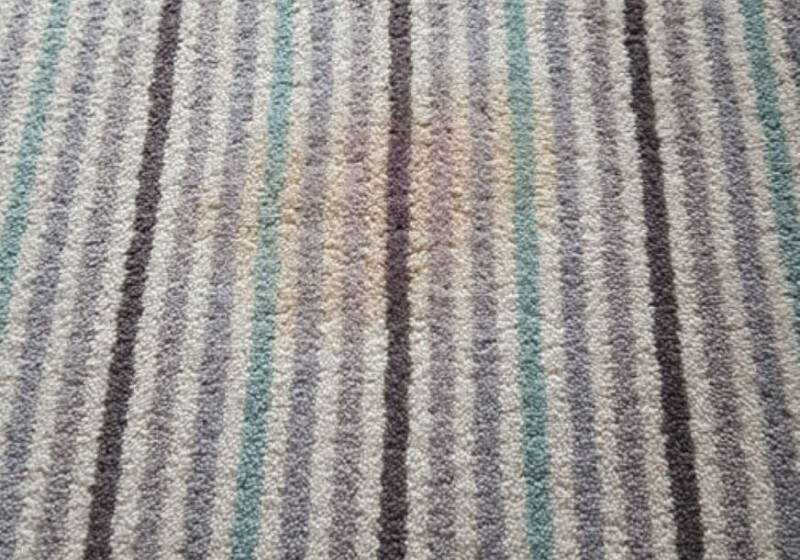 Dog Vomit Dog Vomit