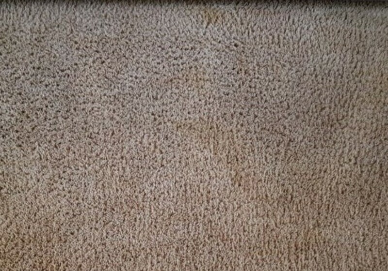 The Worst Stain The Worst Stain