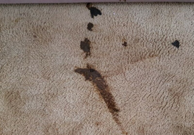The Worst Stain The Worst Stain