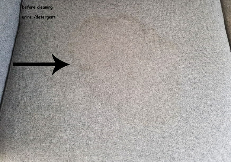 URINE STAIN URINE STAIN