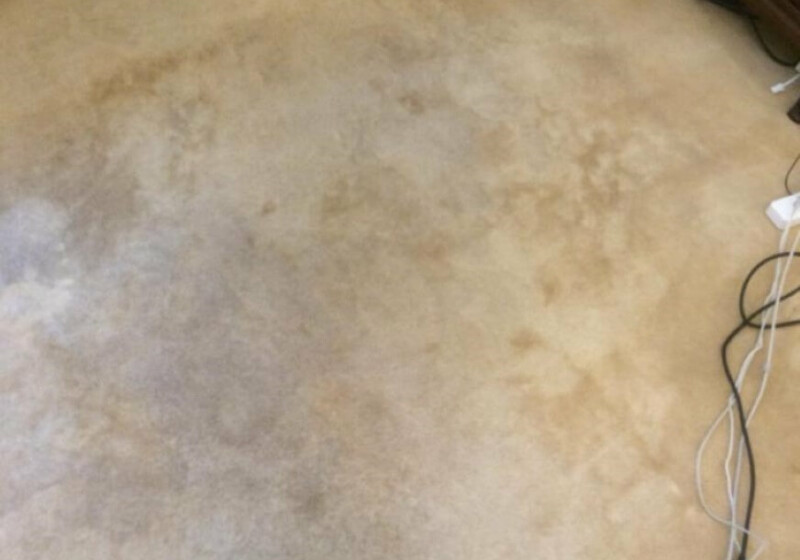 Waterlogged Carpet Waterlogged Carpet