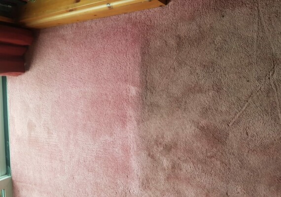 WHAT CAN YOU EXPECT FROM CARPET CLEANING?