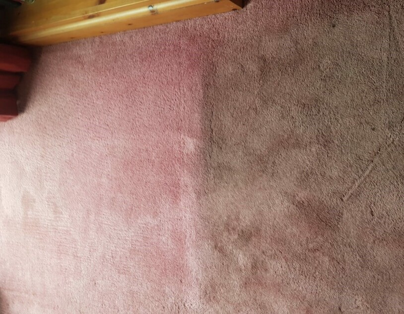 WHAT CAN YOU EXPECT FROM CARPET CLEANING?