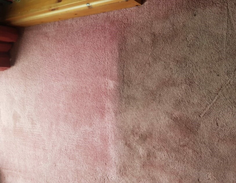 WHAT CAN YOU EXPECT FROM CARPET CLEANING? WHAT CAN YOU EXPECT FROM CARPET CLEANING?