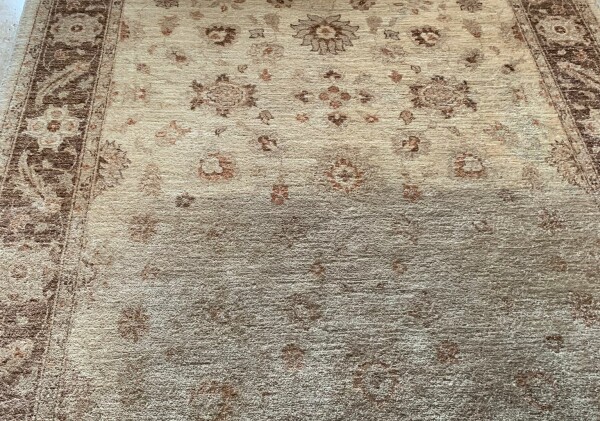 Safeclean vs Rug Doctor Safeclean vs Rug Doctor