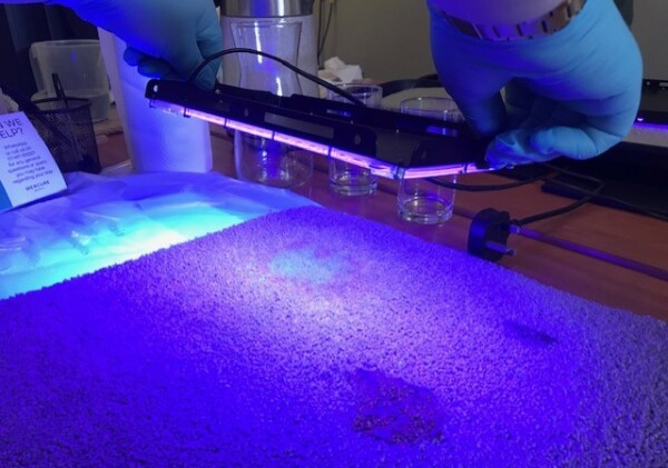 7 Deadly Stains Training Course - North 7 Deadly Stains Training Course - North